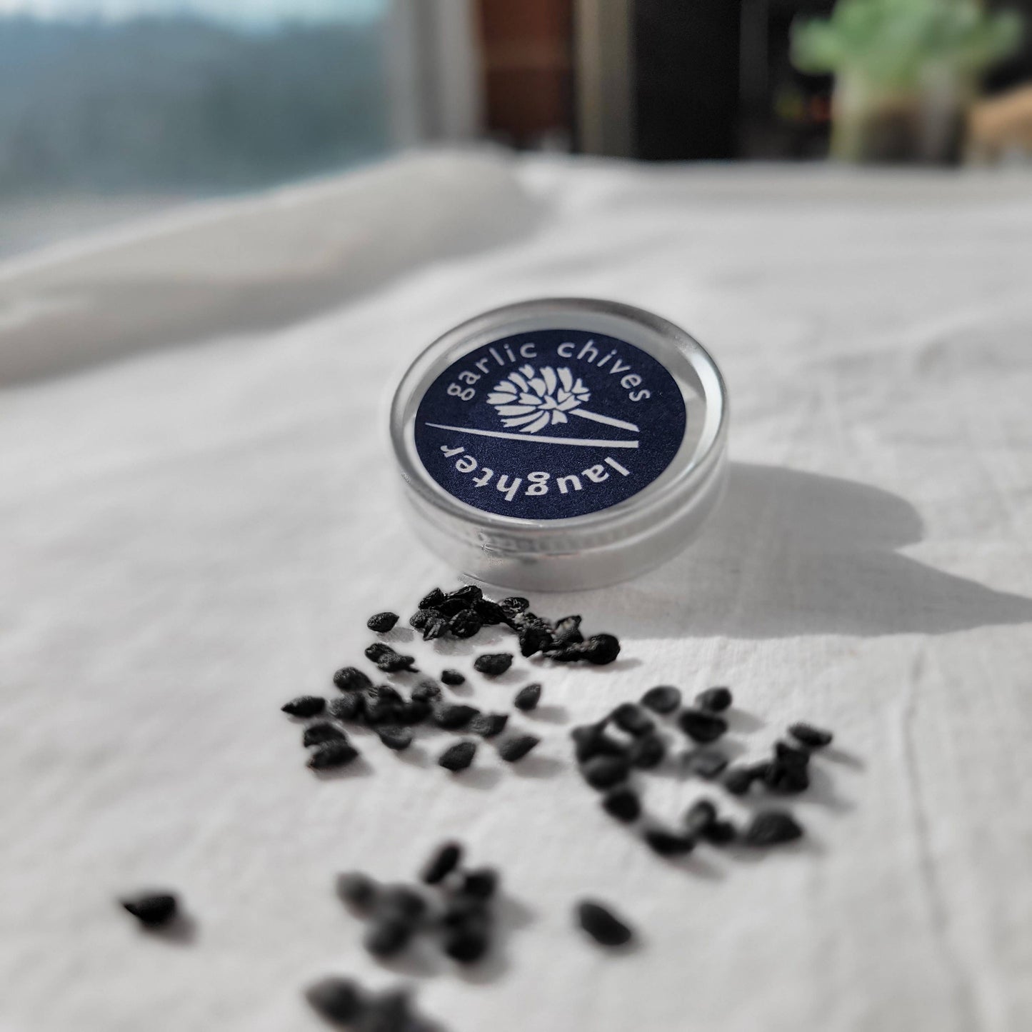 Growing Wishes Herb | Cheer | Holiday Gift for Gardeners