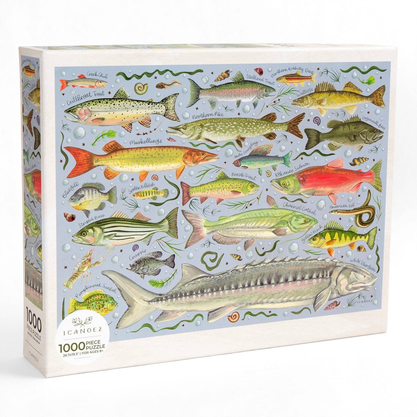 Freshwater Fish - 1,000 Piece Jigsaw Puzzle