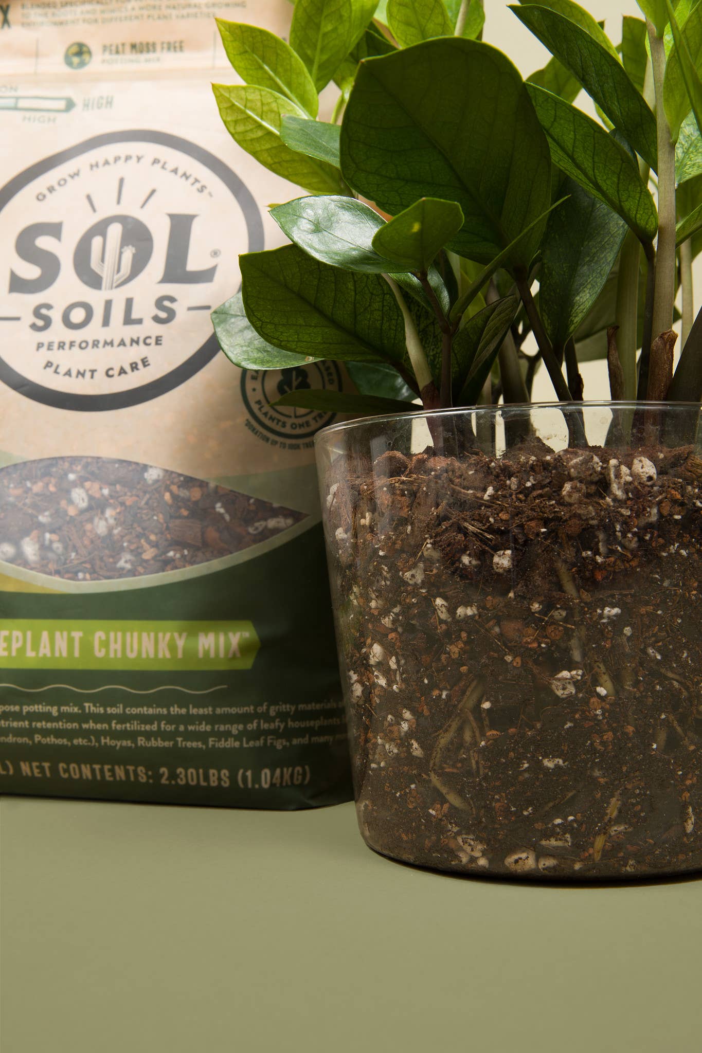 Soil (2Qt) Houseplant Chunky Mix (Aroid/Tropical Soilless) – Mandy