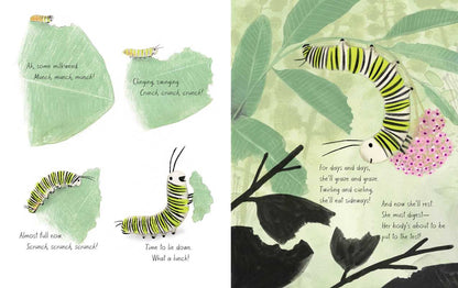 Monarch by Kirsten Hall