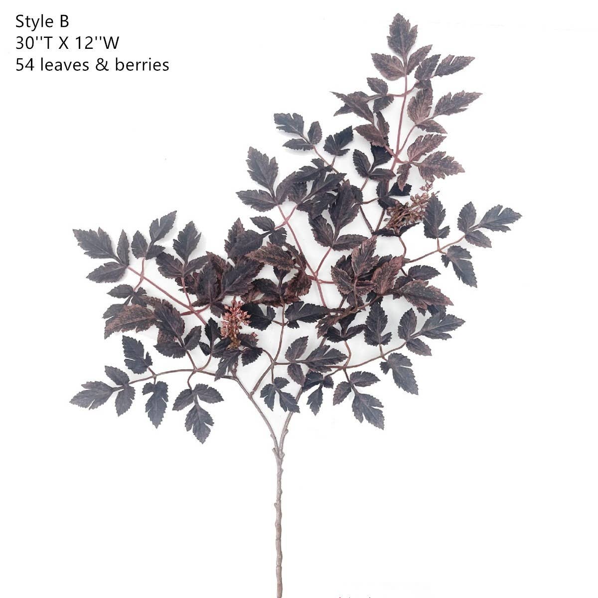 Plum Fake Cimicifuga Ramosa Leaves Branches