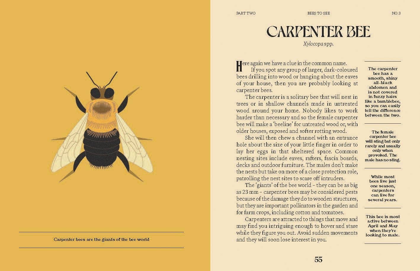 Bees