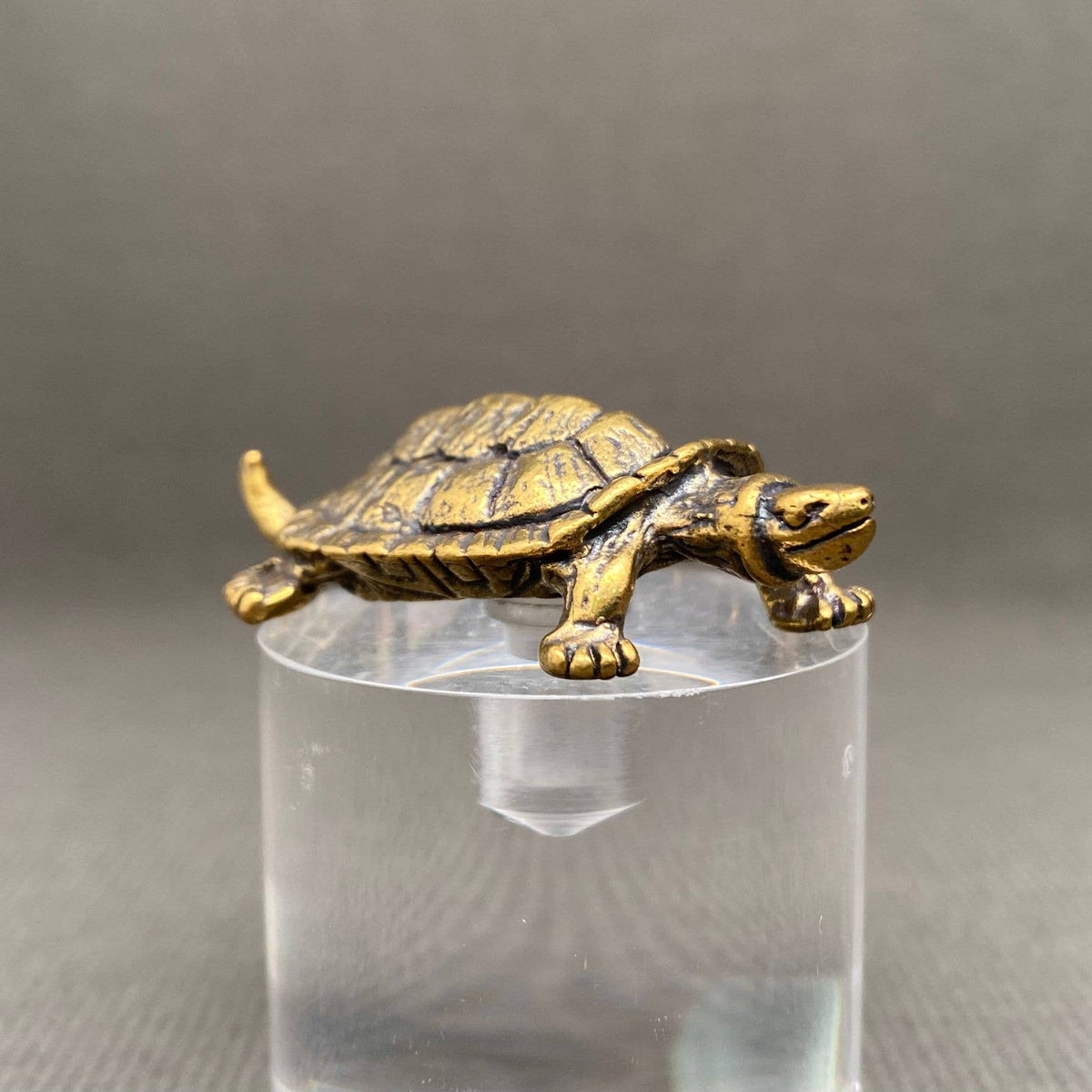 Brass Turtle Crafts Decoration Desktop Ornaments