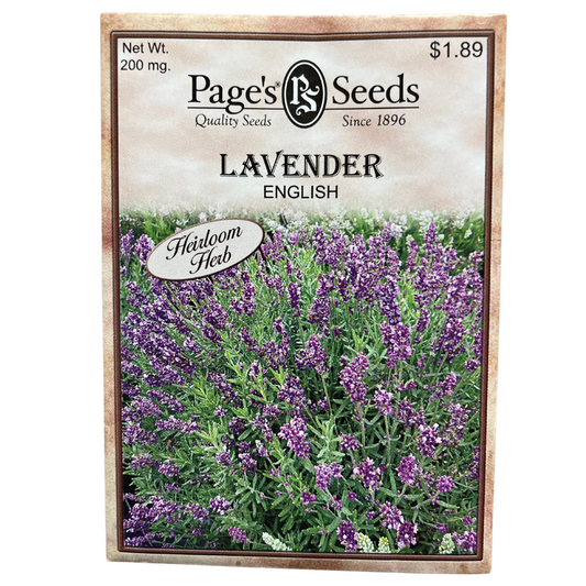 English Lavender - Herb Seeds
