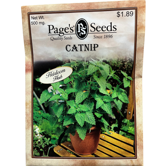 Catnip - Herb Seeds