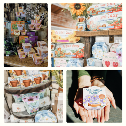 Assorted Ornament Card | Seed Bomb Cards | Holiday Gift