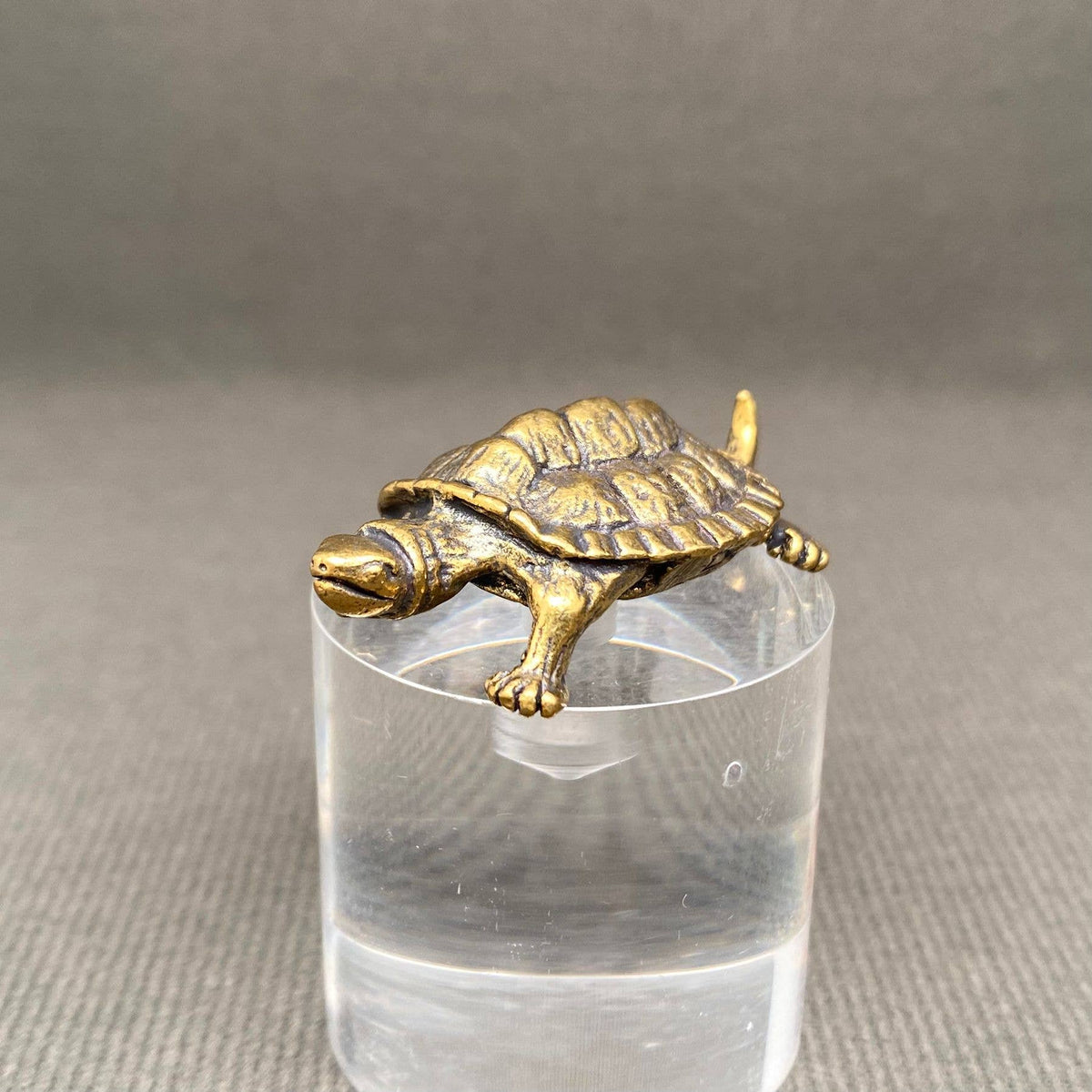 Brass Turtle Crafts Decoration Desktop Ornaments
