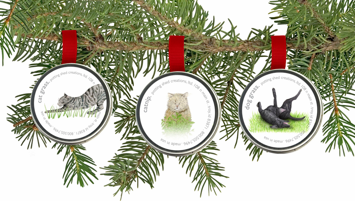 Garden Sprinkles Cat Grass | Organic Fall & Holiday Treat