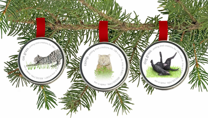 Garden Sprinkles Cat Grass | Organic Fall & Holiday Treat