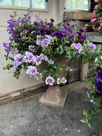 Combo Pots Assorted
