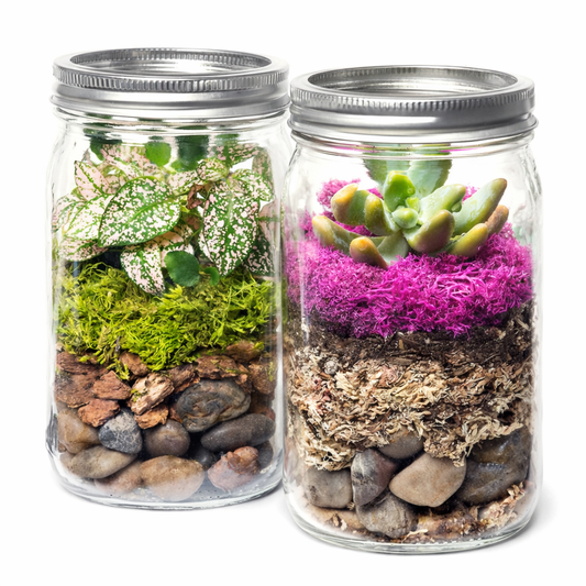 Make Your Own Terrarium Workshop - Sat Feb 28 @ 10 AM @ Canopy Saratoga