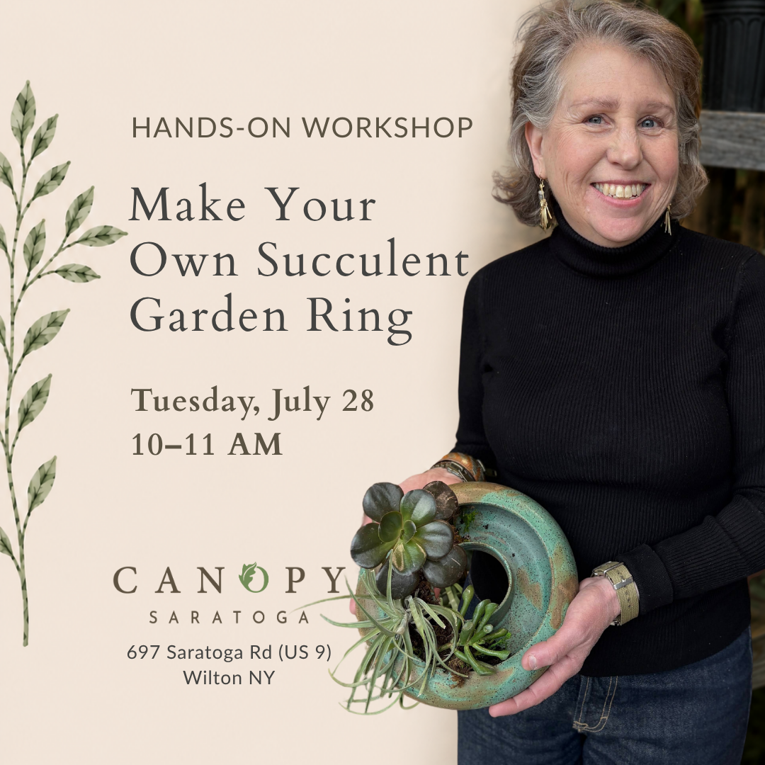 Garden Ring Planter Workshop @ Canopy - Tues July 28 10-11 AM