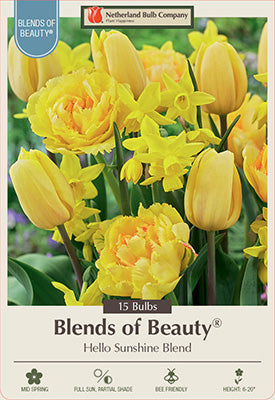 Tulip & Narcissus Hello Sunshine Blend