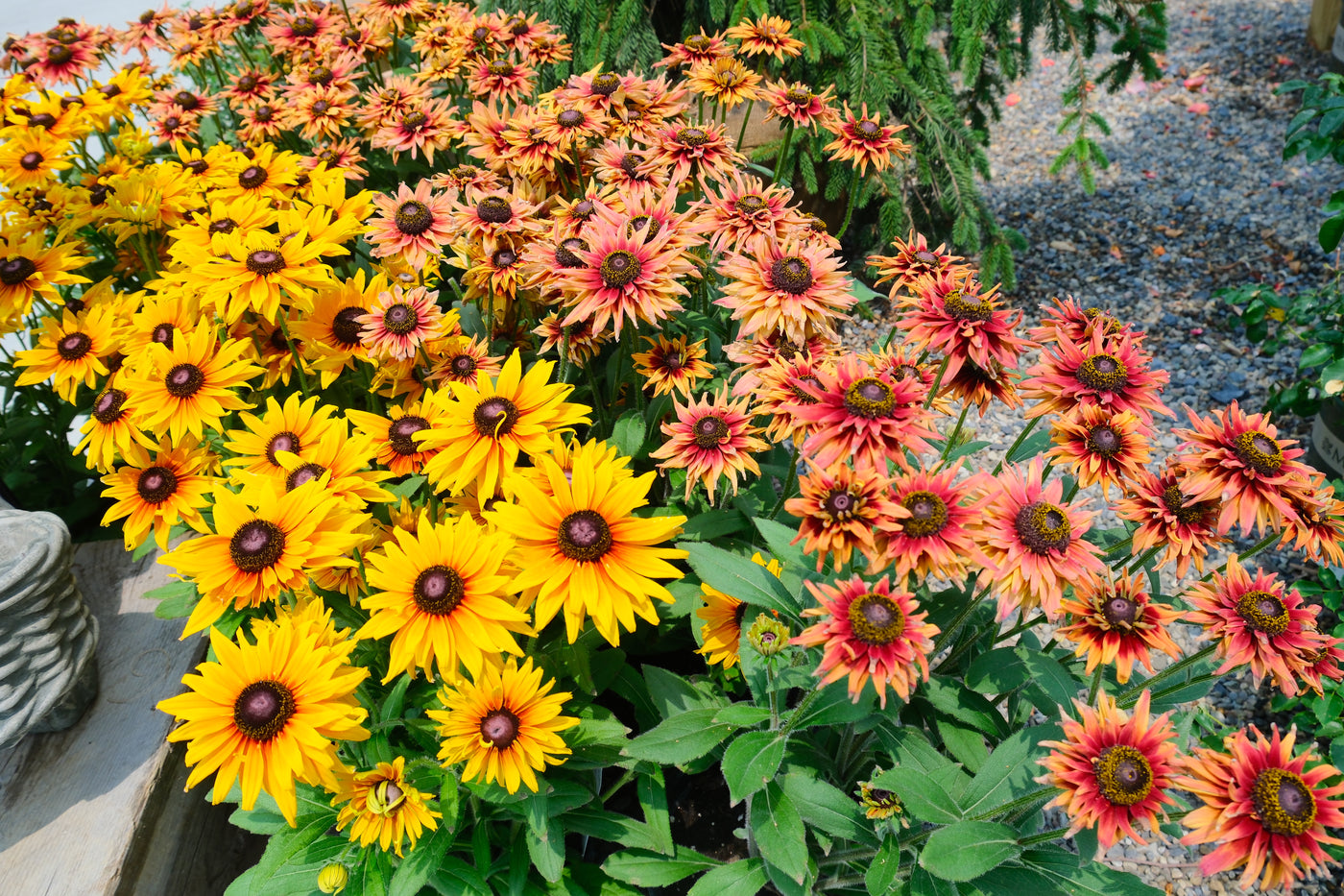 Beautiful gardens begin with the right conversation.