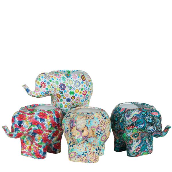 Hills Elephant Pot – Mandy Spring Farm Nursery, Inc.