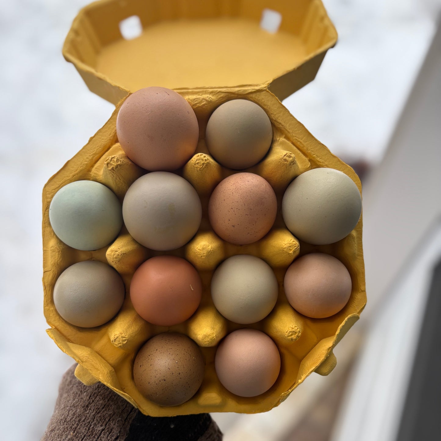 Eggs - Slow Growth Farm