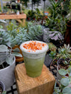 Coconut Cake Matcha