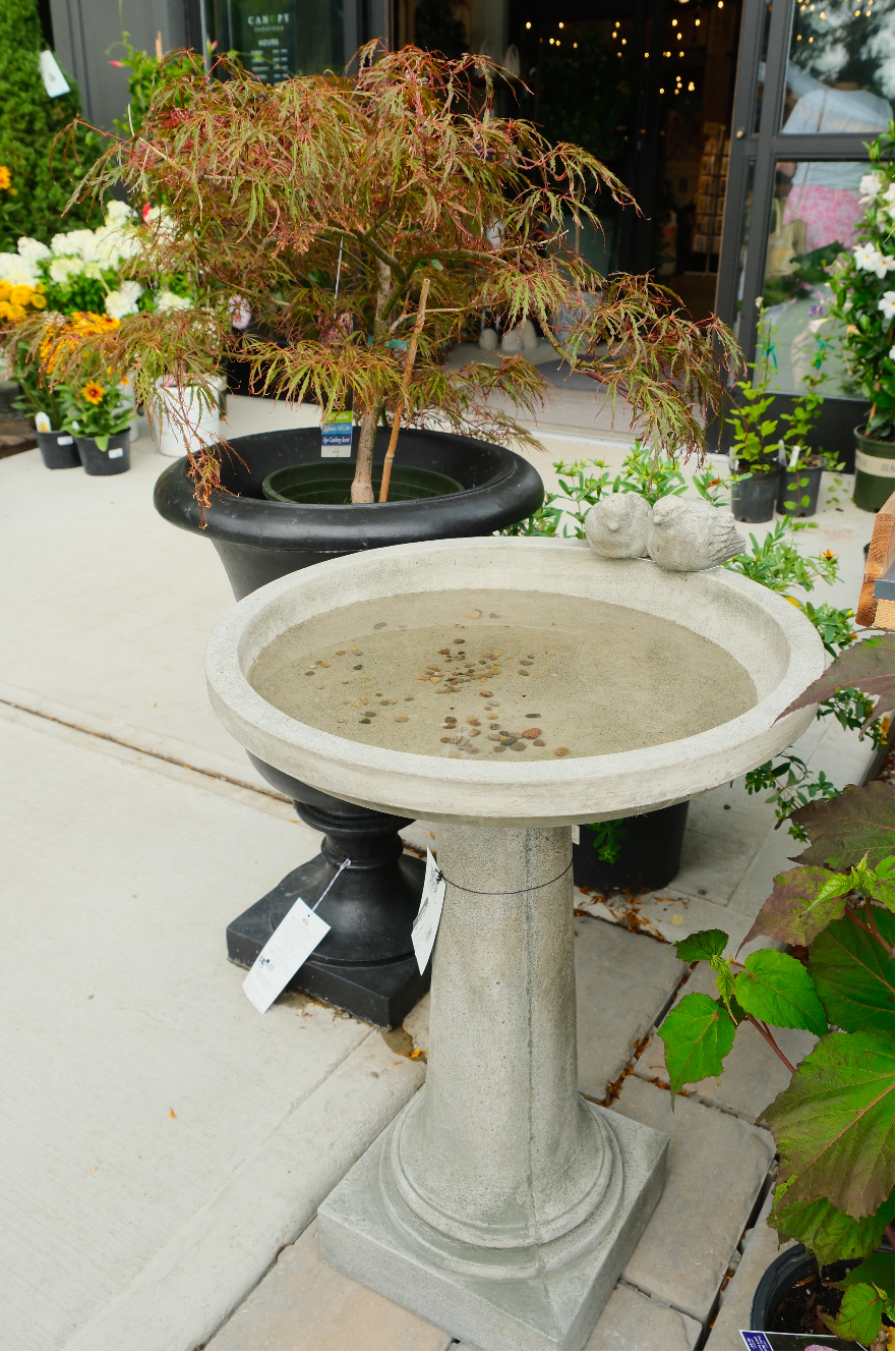 Juliet Birdbath