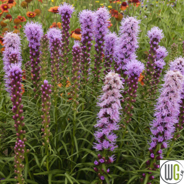 Mandy_sSpringNursery_d4fef319-