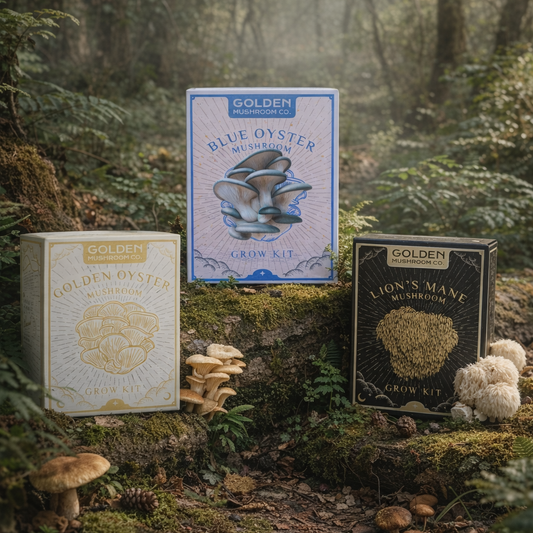 Blue Oyster Mushroom Grow Kit