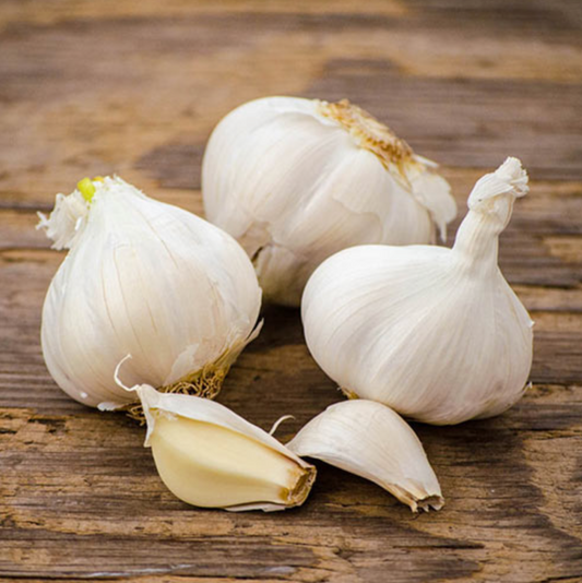 Garlic - California Softneck | 3 Bulbs