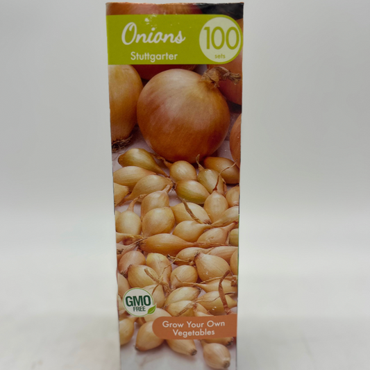 Onion - Stuttgarter Riesen | 100 Bulbs