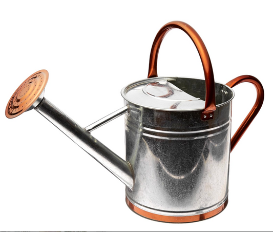 1 Gal  Galvanized Watering Can with Copper Accents