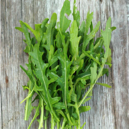 Arugula 'Rouquette' - Vegetable Seeds