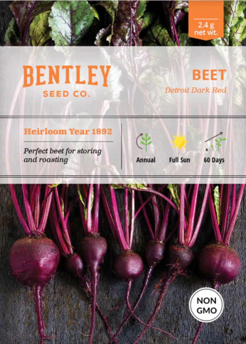 Beets 'Detroit' - Vegetable Seeds