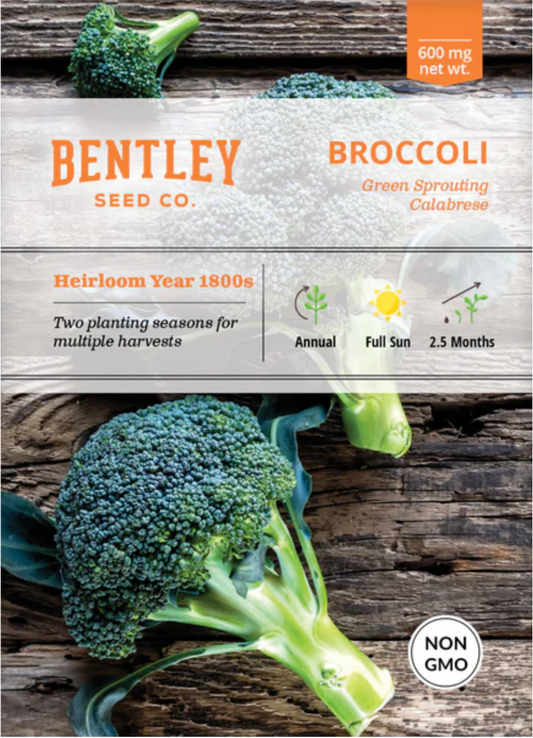 Broccoli 'Green Sprouting' - Vegetable Seeds