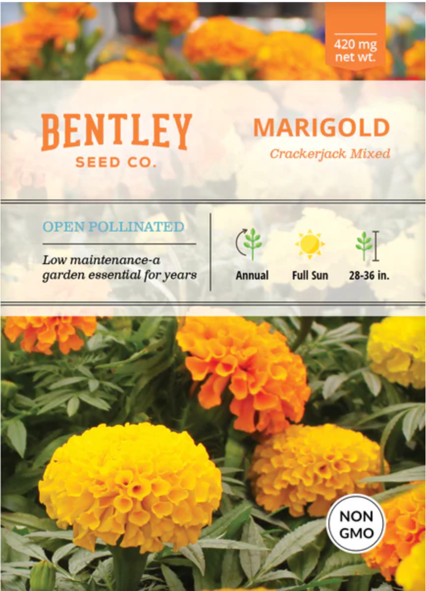 Marigold 'Crackerjack' Mixed Colors - Flower Seeds