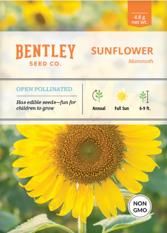 Sunflower 'Mammoth' - Flower Seeds