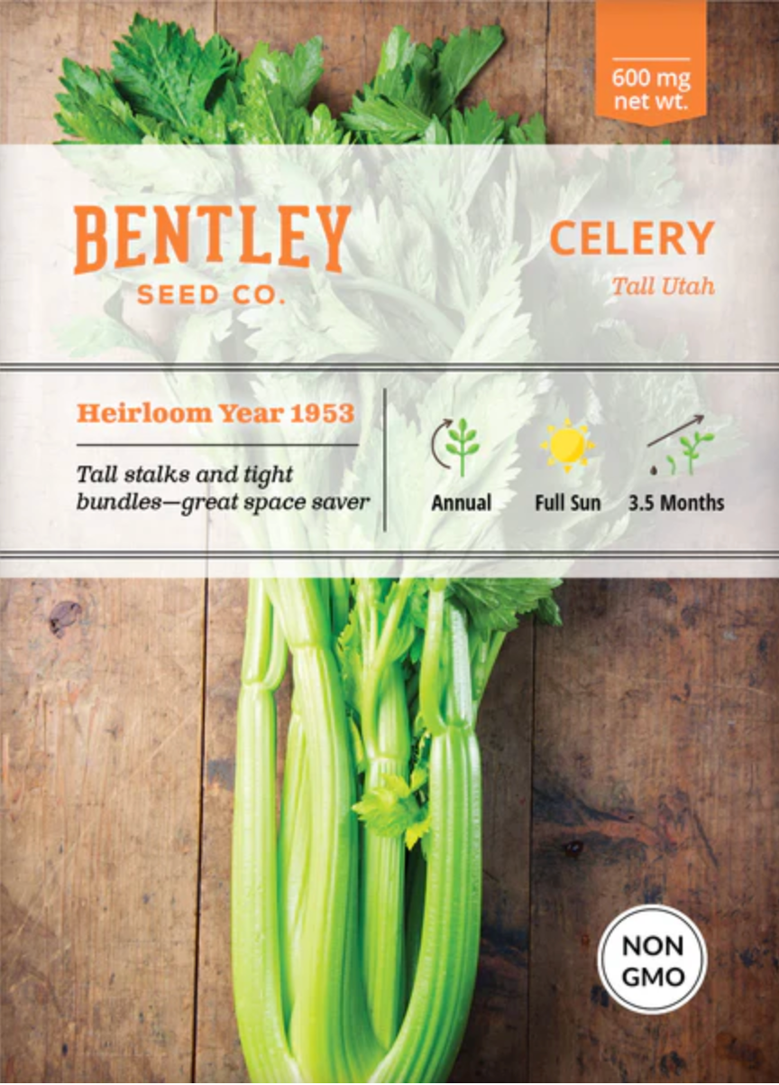 Celery 'Tall Utah' - Vegetable Seeds