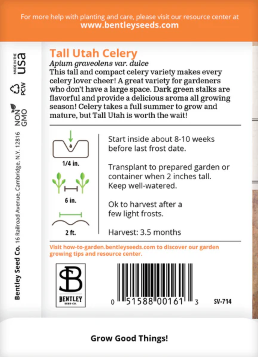 Celery 'Tall Utah' - Vegetable Seeds