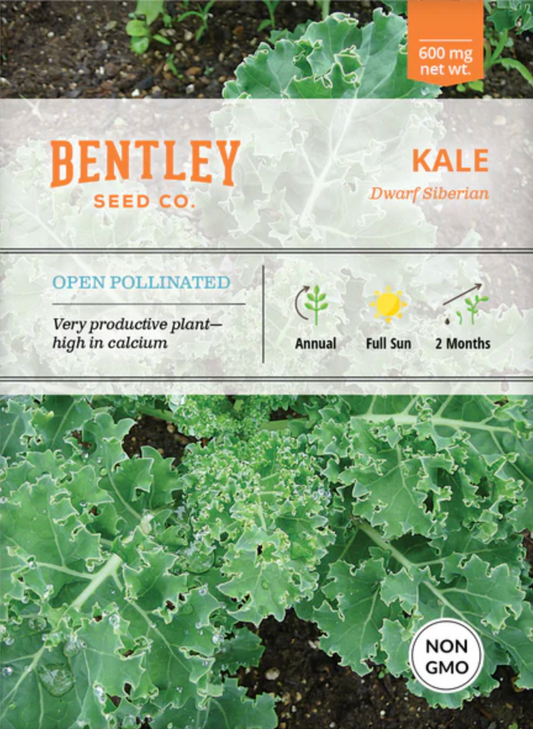 Kale 'Dwarf Siberian' - Vegetable Seeds