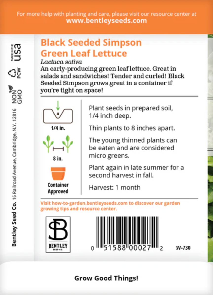 Lettuce 'Simpson's Curled' - Vegetable Seeds