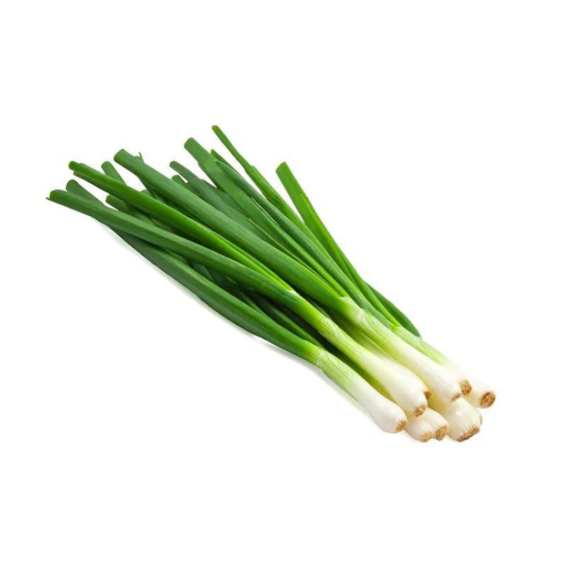 Onion 'Evergreen Bunching' Scallions - Vegetable Seeds