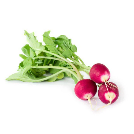 Radish 'Sparkler ' - Vegetable Seeds