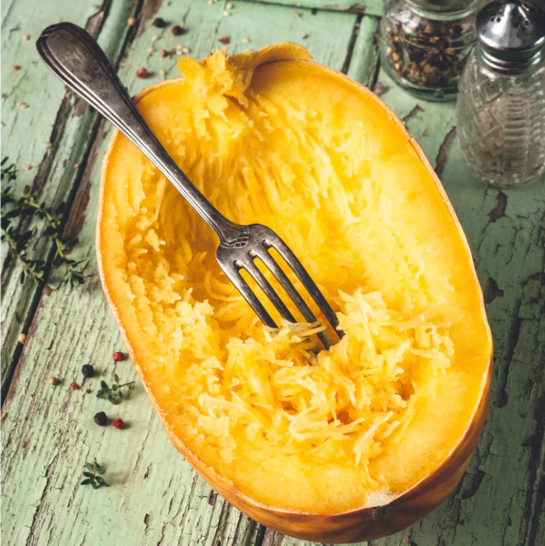 Squashed Spring Squash 'Spaghetti' - Vegetable Seeds – Mandy Spring Farm Nursery, Inc.