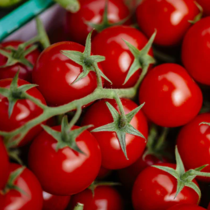 Tomato 'Cherry' - Fruit Seeds