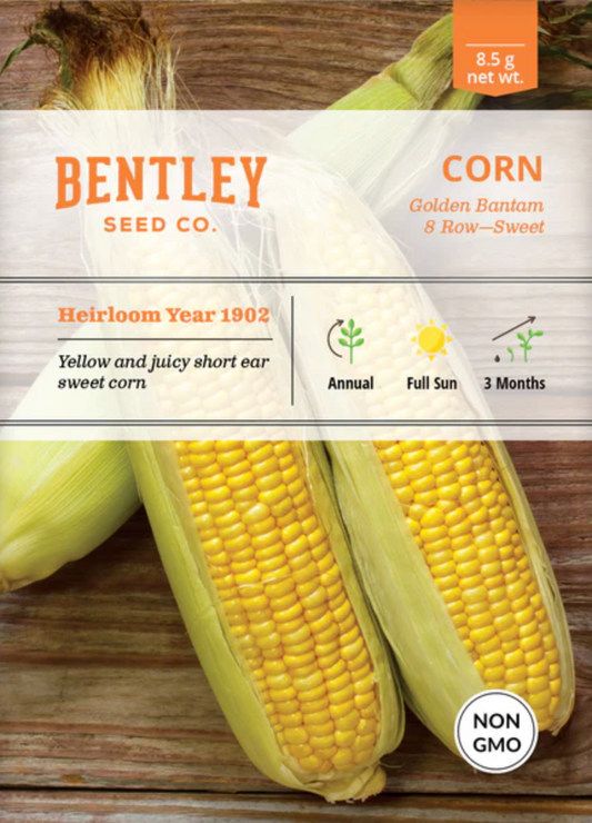 Corn 'Golden Bantam' - Vegetable Seeds