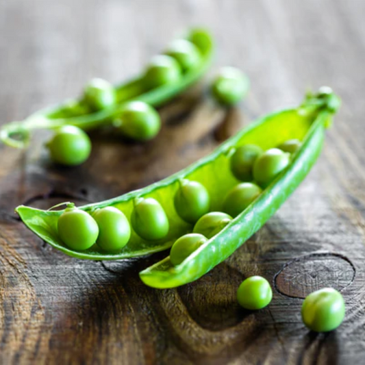 Peas 'Little Marvel Shelling' - Vegetable Seeds