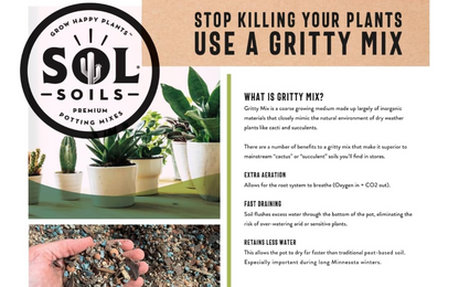 gritty mix potting soil Sol Soils Cactus Gritty Mix (2 quarts)