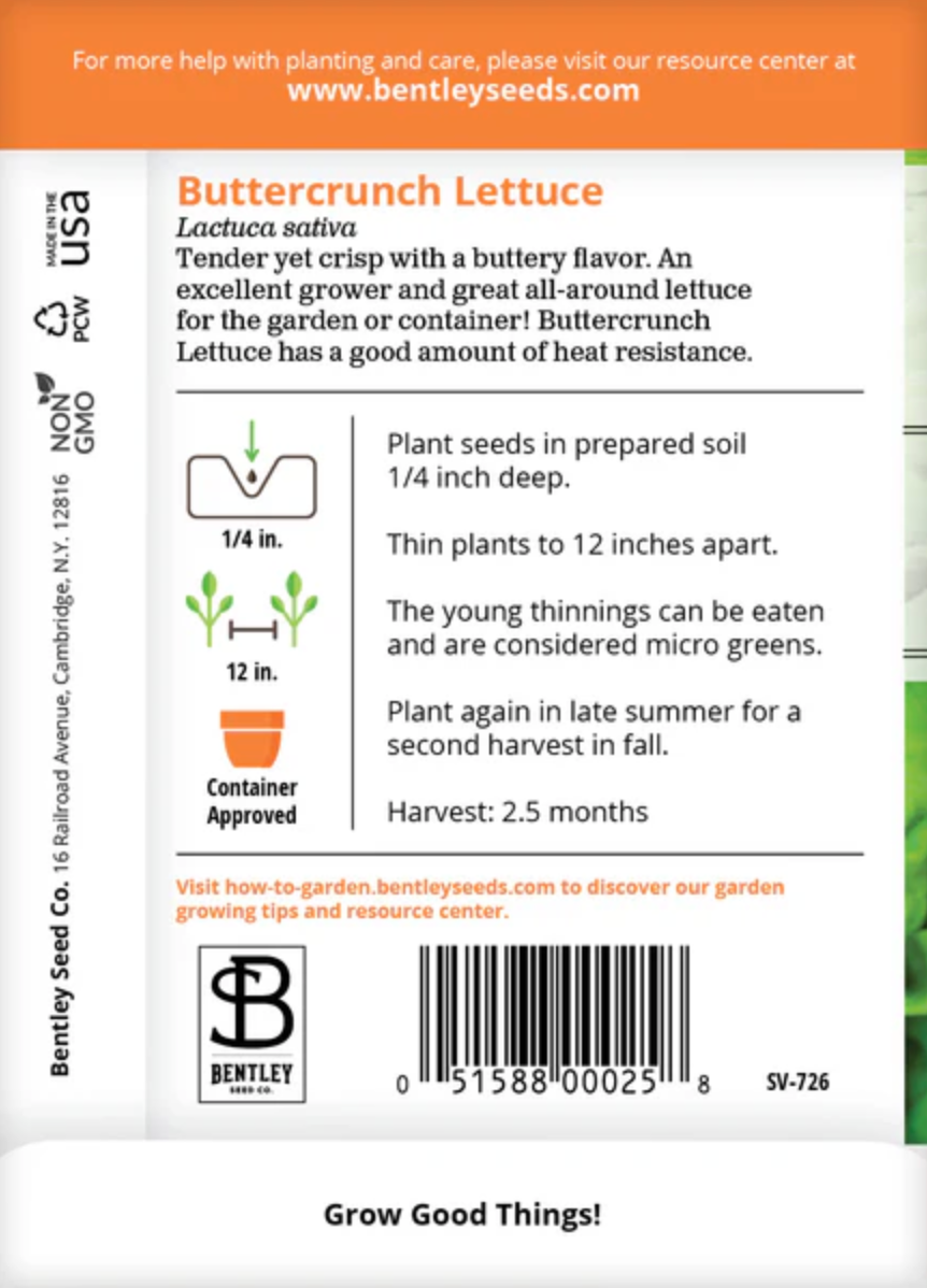 Lettuce 'Buttercrunch' - Vegetable Seeds