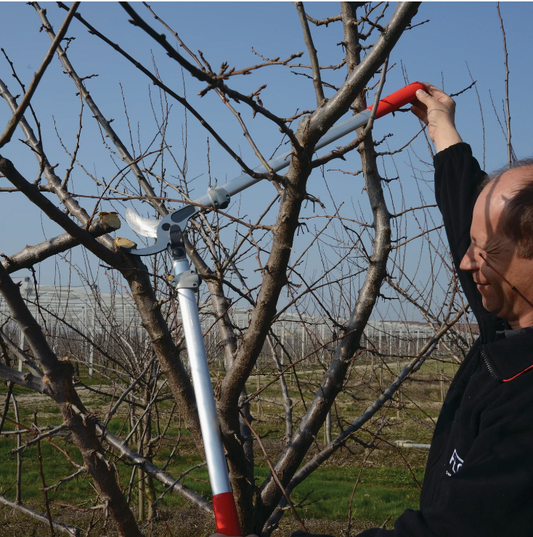 FELCO 220 - Lever-action lopper