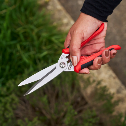 FELCO 456 - Aromatic herbs scissors