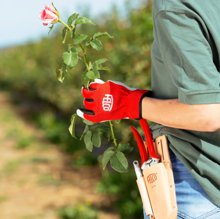 FELCO 910+ - Pruner Holster
