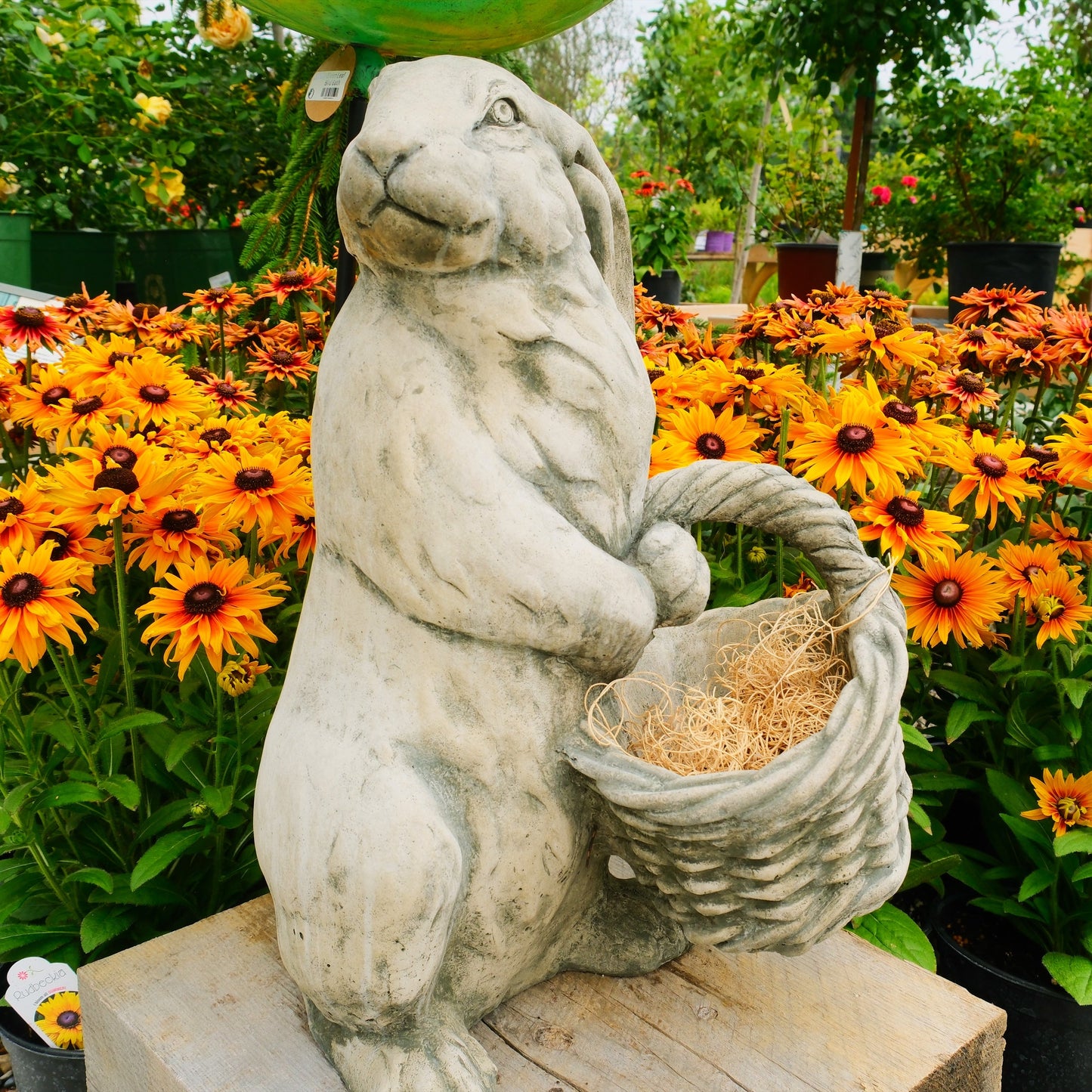 Spring Hare Planter