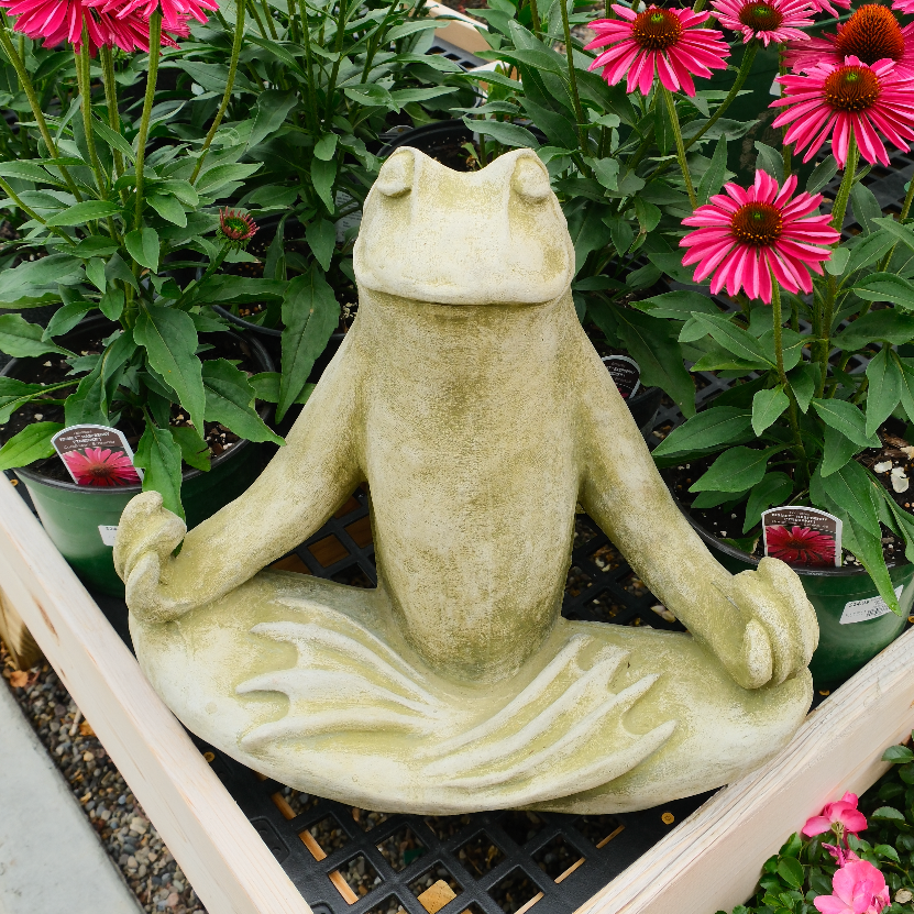 Totally Zen Frog