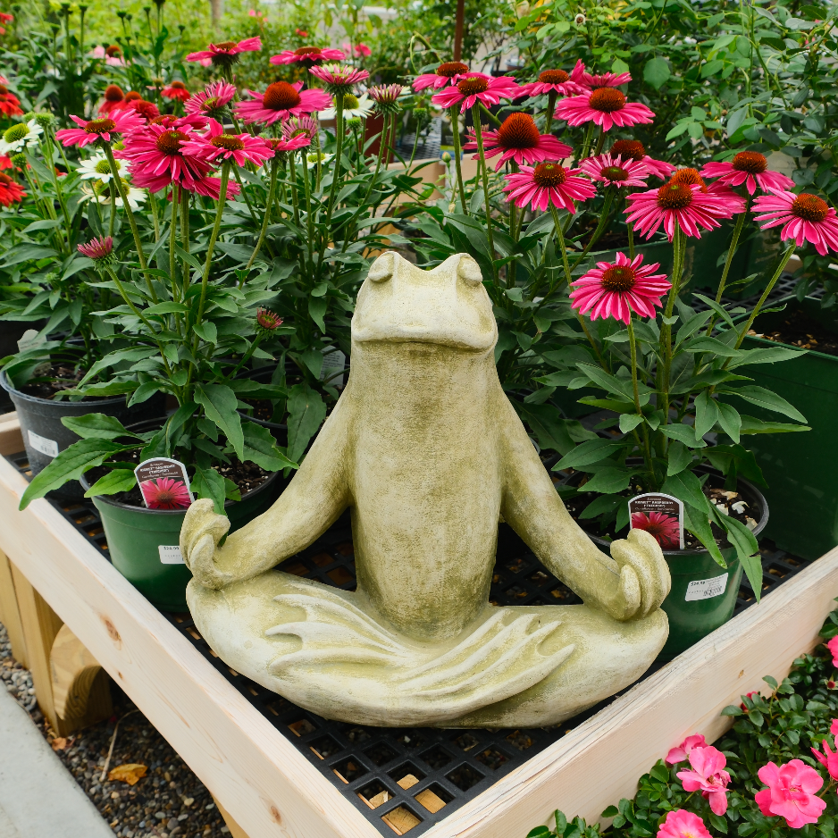 Totally Zen Frog